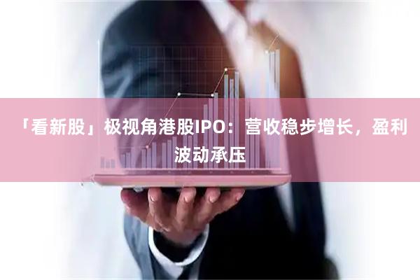 「看新股」极视角港股IPO：营收稳步增长，盈利波动承压